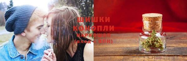 шишки Абдулино