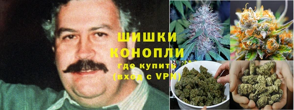 марки nbome Пересвет
